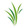 Grassroots Church