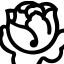 Graziella Group Spa
