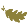 Greater Worcester Community
