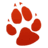 Bear Essentials Swim Shop