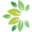 GreenApartmentsIstria.com