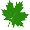 Greener Home Ottawa