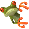 Greenfrog Movers & Storage