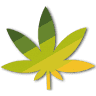 GREENITY - CBD Shop Torcy Bay2