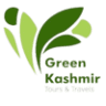 Green Kashmir Tour and Travels