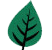Green Time Painting & Design Ottawa