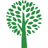 Green Tree Pecan Company