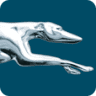 Greyhound: Bus Stop