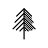 Grey Pine Lodge