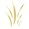 GroenGemak