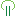 GRØNT HAVEDESIGN