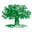Grüne Erde Kleidung & Naturkosmetik St. Pölten