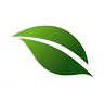 Grüner Baum Fürth
