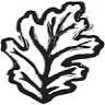 Grün Oak, LLC