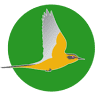 Grupo AN Correduría De Seguros