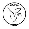 Grupo Scout Pau