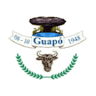 Secretaria Municipal de Educação e Cultura de Guapó