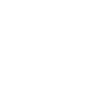 Guarnieri Ottici