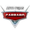 Bosch Car Service - Auto Peças Carraro