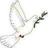 Guidance For Inner Peace Holistic Counseling & Healing Arts