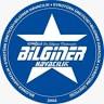Bilginer Havacılık
