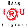 HaarVirus