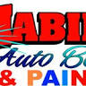 HABIBS AUTO BODY AND PAINT SHOP