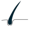 Hair Doctors Silvassa