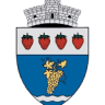Primăria Halmeu