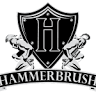 Hammerbrush Painting & Construction
