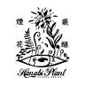 Hanabi plant 煙花蕨醒 花藝設計 生態瓶 課程教學