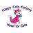 Happy Cats Cattery