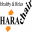 เก้าอี้เพื่อสุขภาพ Hara Chair