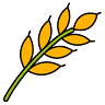 Harvest Storage