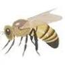Harveys Honey