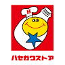 Hasegawa Store Nakamichi Shop