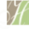 Hattiesburg Family Dental Care