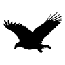 Hawks Real Estate Professionals