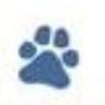 Hawthorne Animal Health Care: Rotner Kim B DVM