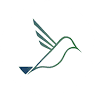 Hummingbird Student Tours