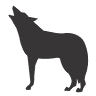 Hacienda Coyotes