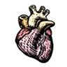 Heart Specialists Group LLC