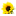 Naturheilpraxis Sabine Trost