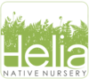 Helia Native Nursery