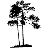Fandag