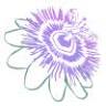 Herbal Passion, LLC