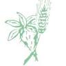 Herbiagro