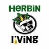 Herbin Living Smoke Shop, Kava Bar