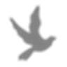 Heritage Funeral & Cremation Services