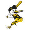 Honk- en softbalvereniging BC The Herons